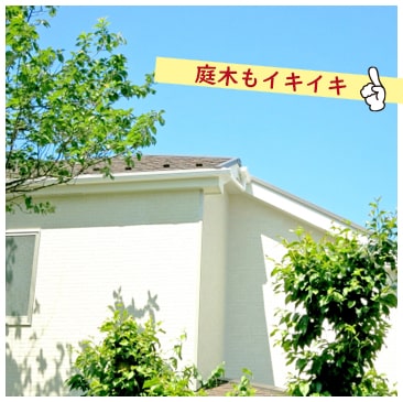 雨だれで軒下地面が掘り下げられることを防ぎ、外壁庭木などを守ります。