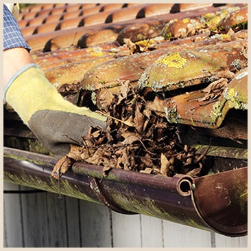 枯葉が詰まっていたので掃除のお願いをしました。