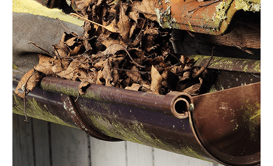 枯葉が詰まっていたので掃除のお願いをしました。